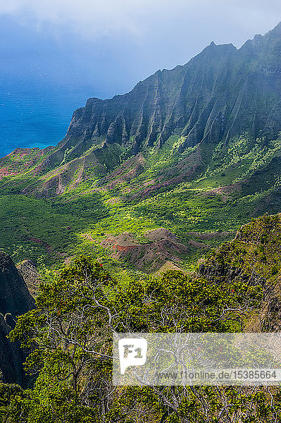 USA  Hawaii  Kalalau Aussichtspunkt über der Küste Napalis vom Kokee State Park aus