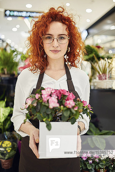 Porträt eines Floristen mit Topfpflanze im Blumenladen