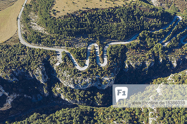 Spain  Navarra  Irati Forest  aerial view of winding road