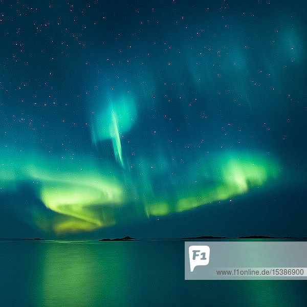 Norwegen Lofoten Eggum Nordlicht