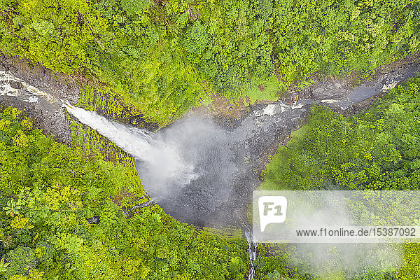 USA  Hawaii  Big Island  Akaka Falls State Park  Akaka Falls and Kolekole Stream