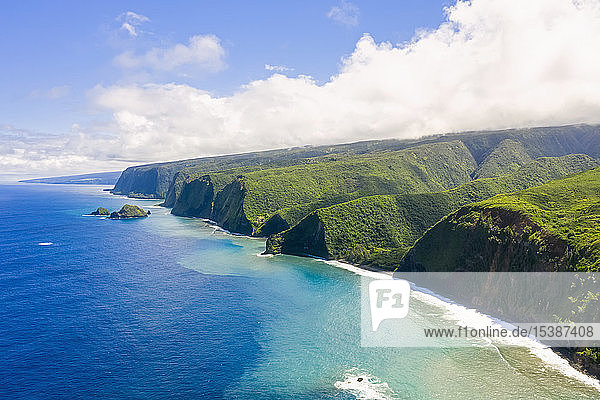 USA  Hawaii  Big Island  Pacific Ocean  Pololu Valley Lookout  Kohala Forest Reserve  Aerial View