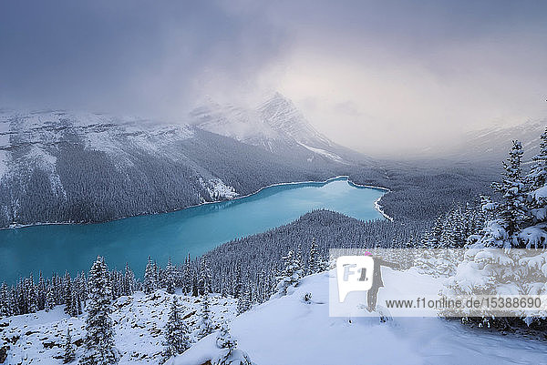 Kanada  Alberta  Banff-Nationalpark  Peyto Lake  Frau genießt Aussicht