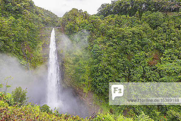 USA  Hawaii  Big Island  Akaka Falls State Park  Akaka Falls and Kolekole Stream