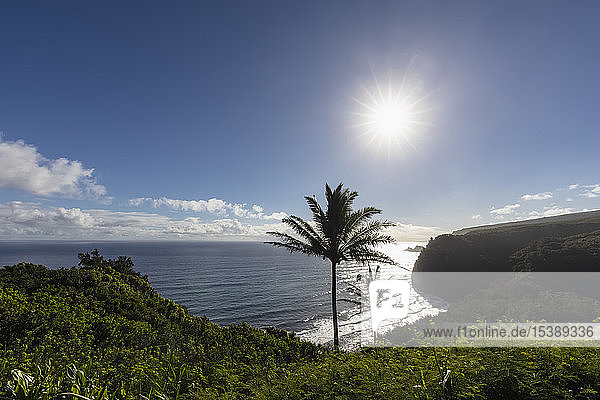 USA  Hawaii  Big Island  Pacific Ocean  Pololu Valley Lookout