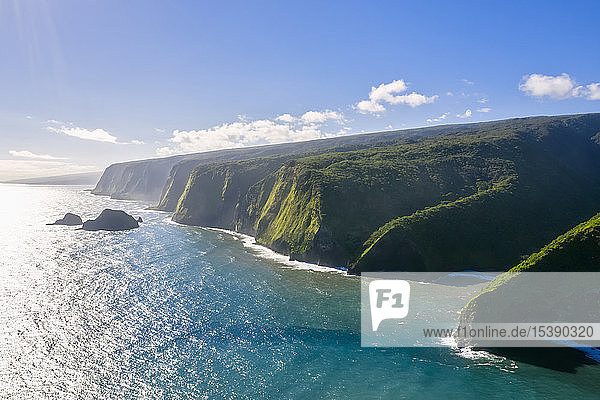 USA  Hawaii  Big Island  Pacific Ocean  Pololu Valley Lookout  Kohala Forest Reserve  Aerial View