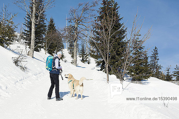 Germany  Bavarian Forest  Lusen  smiling woman with dog hiking in winter
