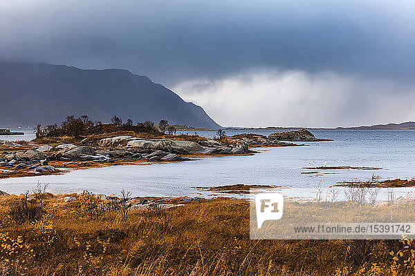 Norwegen Lofoten Gimsoysand Küstenlandschaft