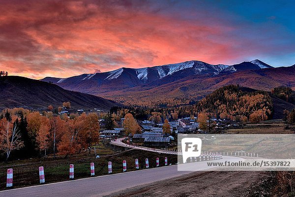 Autumn white khabarov village in xinjiang