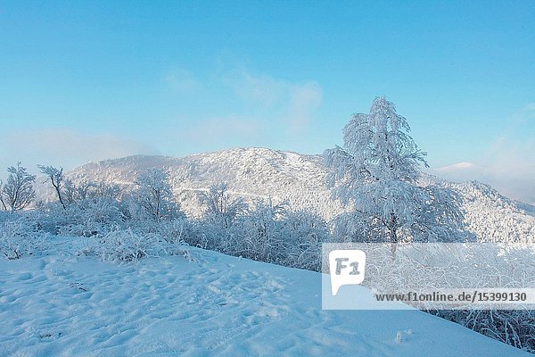 Sonnenaufgang Graben NingShan Landkreis in Shaanxi Qinling Schnee