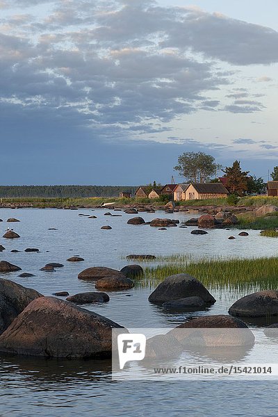 Coast in Käsmu