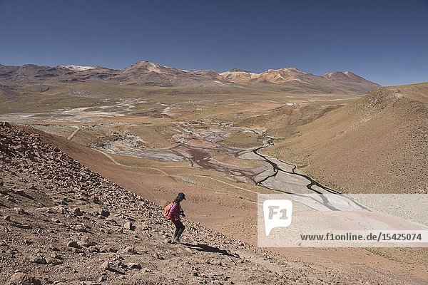 Trekking to the Rio Blanco near El Tatio Geyser San Pedro de Atacama Chile.