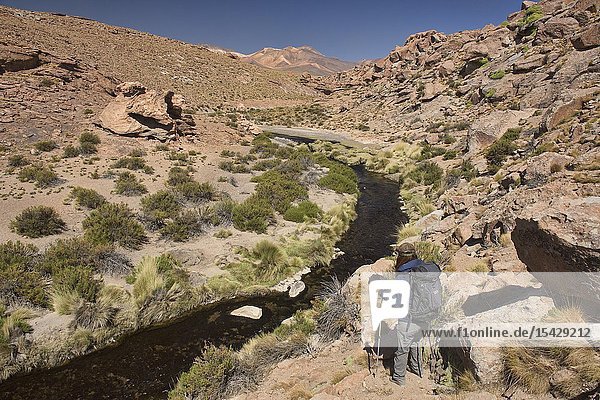 Hiking along the Rio Blanco thermal river near El Tatio Geyser San Pedro de Atacama Chile.