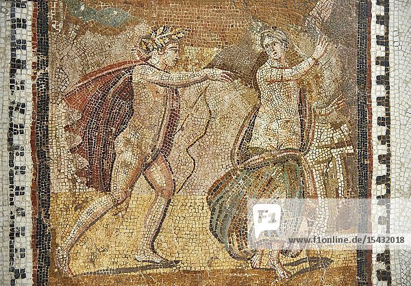 Picture of a Roman mosaics design depicting scenes from mythology from the ancient Roman city of Thysdrus. End of 2nd century AD House in Jiliani Guirat area. El Djem Archaeological Museum El Djem Tunisia.This Roman mosaic depicts Aurore enticing Cephane Apollo enticing Cyrene and Apollo persuing Daphne.
