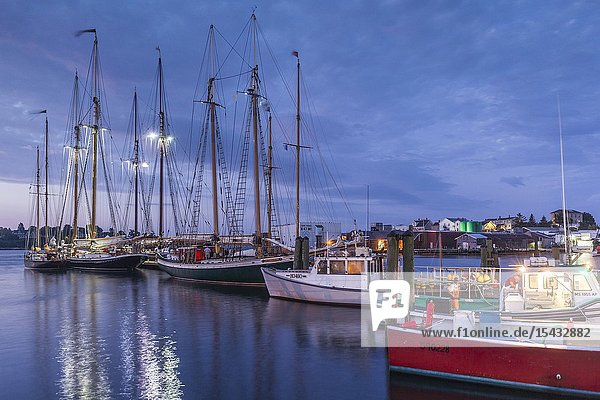 USA New England Massachusetts Cape Ann Gloucester Gloucester Schooner Festival schooners dawn.