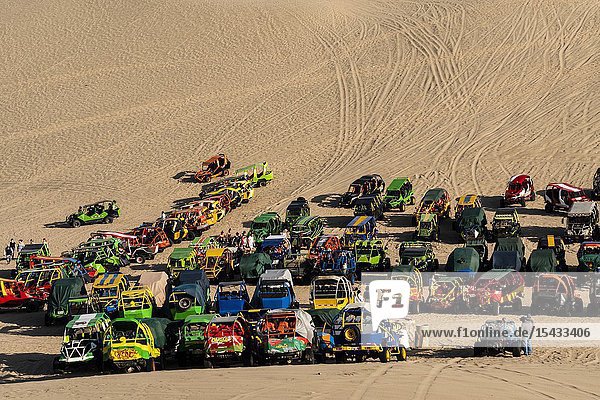 Regional conservation area of the Huacachina lagoon. Subtropical Ica Peru.