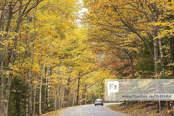 USA Maine Mt. Desert Island Acadia National Park autumn park road.