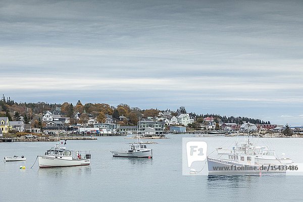USA Maine Stonington Stonington Harbor autumn.