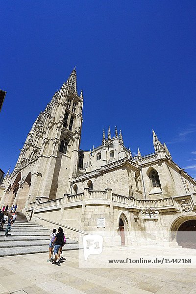 The Santa Iglesia Catedral Metropolitana de Santa María is a cathedral temple of Catholic worship dedicated to the Virgin Mary  in the Spanish city of Burgos. Its construction began in the year 1221  following French Gothic patterns. It had important modifications in the fifteenth and sixteenth centuries: the needles of the main facade  the Condestable chapel and the dome of the transept  elements of flamboyant Gothic that give the temple its unmistakable profile. The last important works (the sacristy or the chapel of Santa Tecla) already belong to the eighteenth century  a century in which the Gothic façades of the main façade were also modified. The construction and subsequent remodeling were done with limestone extracted from the quarries of the localities of Hontoria de la Cantera and Cubillo del Campo.