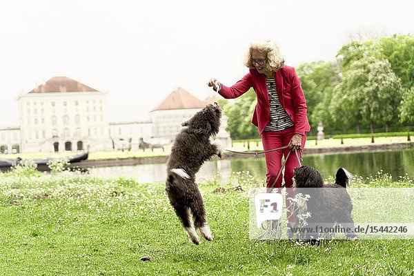 Senior woman playing with her dogs in park in Nymphenburg Munich Germany.