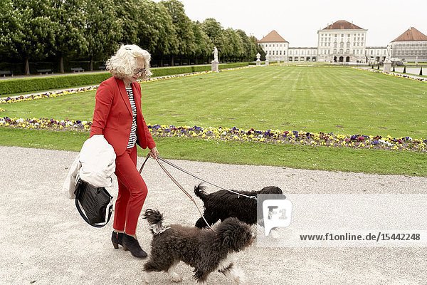 Senior woman walking with two dogs in park at touristic sight Nymphenburg palace in Munich Germany.