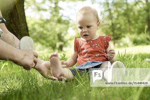 Dressing bare foot of baby toddler with shoe