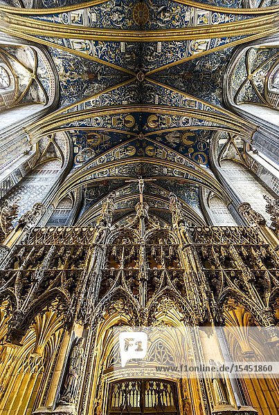 Interior of Albi Cathedral (Tarn Department Occitanie Region France)