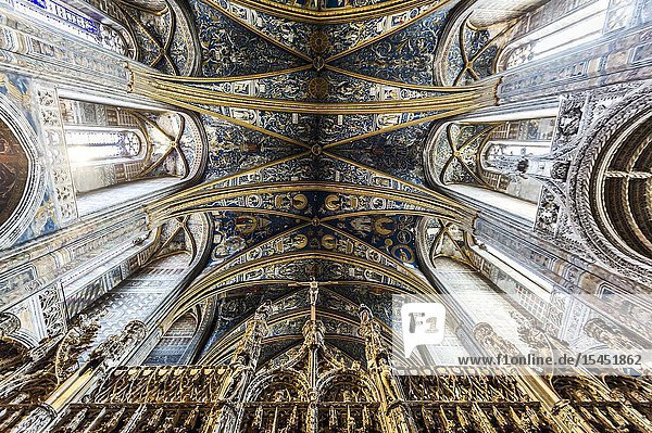 Interior of Albi Cathedral (Tarn Department Occitanie Region France)