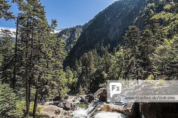 Marcadau river in Jéret Valley Pyrenees national Park (Hautes-Pyrénées Department Nouvelle-Aquitaine Region France)
