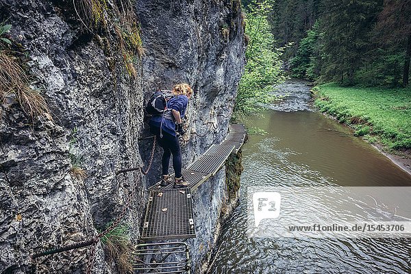 Tourist on a Hiking trail Prielom Hornadu along canyon of Hornad River in Slovak Paradise National Park north part of Slovak Ore Mountains.