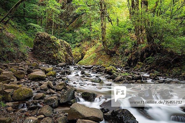Bridal Veil trail stream and waterfall is one of the most visited sites in the Columbia River Gorge.
