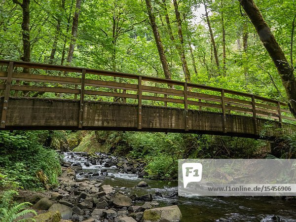 Bridal Veil trail stream and waterfall is one of the most visited sites in the Columbia River Gorge.