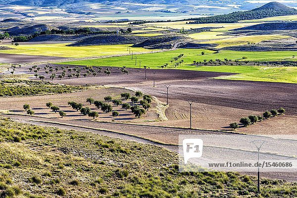 Country in spring time in Villarrubia de Santiago. Toledo. Spain. Europe.