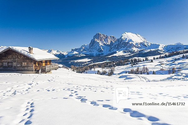 Sassopiatto and Sassolungo from snowy huts at Alpe di Siusi / Seiser Alm Dolomites South Tyrol Italy.