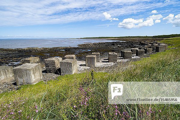 Aerial view of Second World War era anti-tank blocks on shore at Gosford Sands at Longiddry in East Lothian Scotland UK.