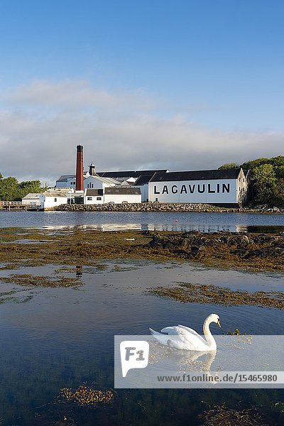 View of Lagavulin Distillery on island of Islay in Inner Hebrides of Scotland UK.