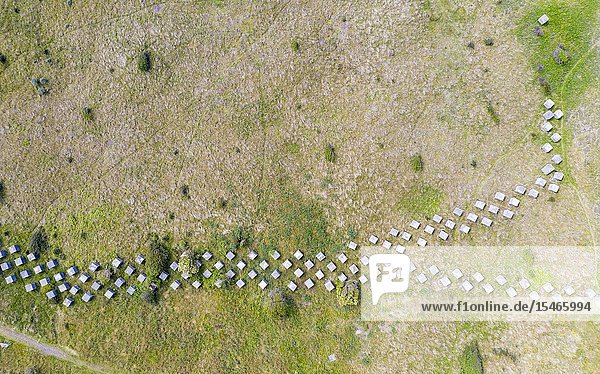 Aerial view of Second World War era anti-tank blocks at Gullane Sands in East Lothian Scotland UK.