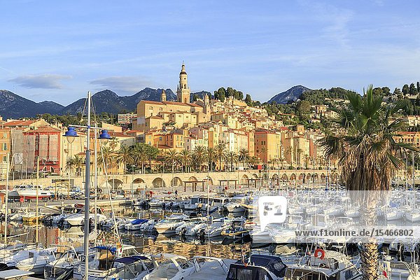 France  Alpes Maritimes  Menton  the Vieux Port and the old town dominated by the Saint Michel Archange basilica.