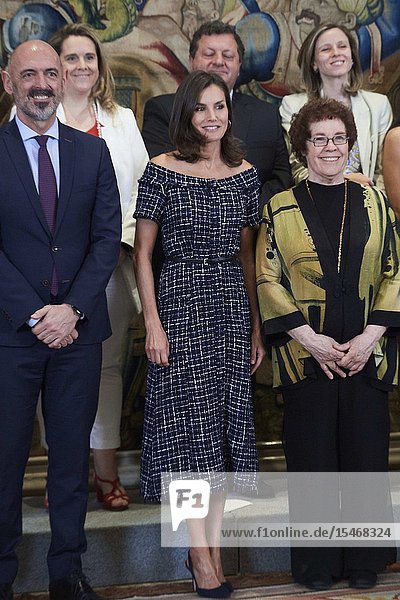 Queen Letizia of Spain attends Audience to a representation of the organizers of the International Congress of the International Association of Social Communication Studies (IAMCR / AIECS) at Zarzuela Palace on July 16 2019 in Madrid Spain
