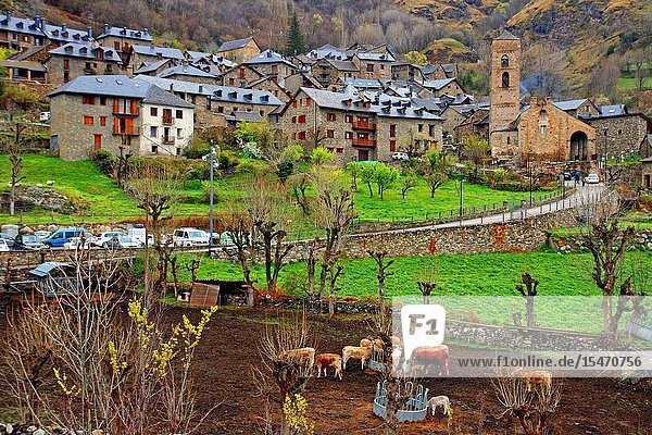 Village and church of the Nativitat de la Mare de Deu Durro Vall de Boí Catalonia Spain