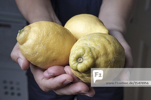 Organic unwaxed lemons.