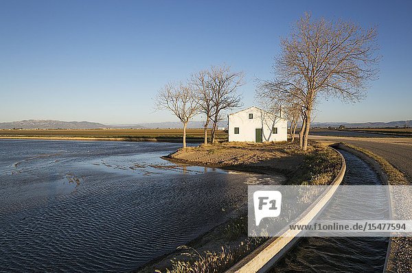 Flooded rice field canal and small farm cottage. Environs of the Ebro Delta Nature Reserve Tarragona province Catalonia Spain.
