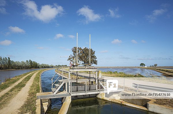 Canal with a lock amidst flooded rice fields. Environs of the Ebro Delta Nature Reserve Tarragona province Catalonia Spain.
