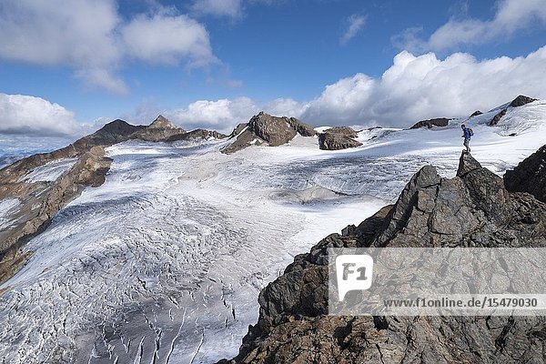 Hiker on top of rocks admiring Dosegu glacier Gavia Pass Valfurva Stelvio National Park Valtellina Lombardy Italy.