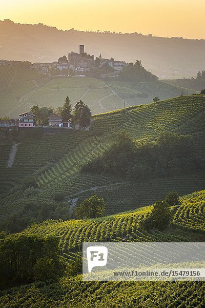 Serralunga d'Alba Barolo wine region vineyards. Langhe Piedmont Italy.