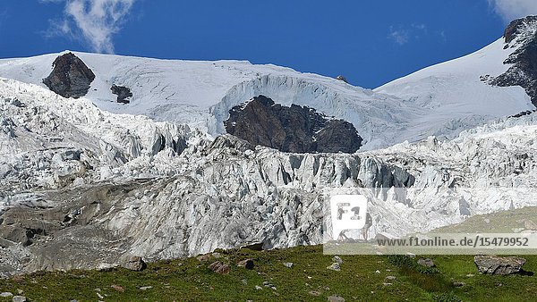 Trekkers with huge glacier behind Lys Glacier over Sources of Lys Gressoney Valley Aosta Valley Italy.