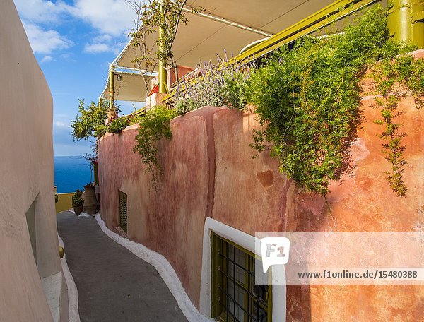 Narrow walkways in Oia Santorini Cyclades Islands Greece.