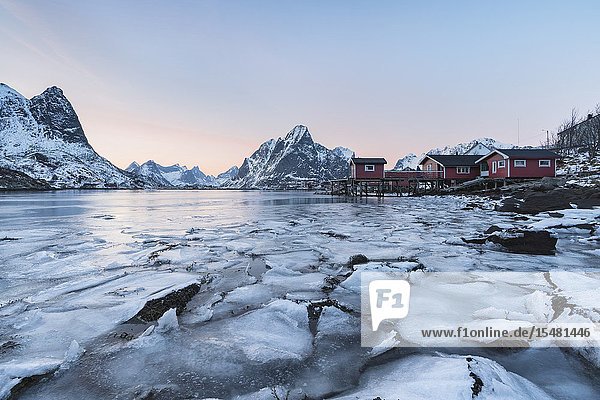 Reine Bay at sunset in winter. Reine Nordland county Northern Norway Norway.