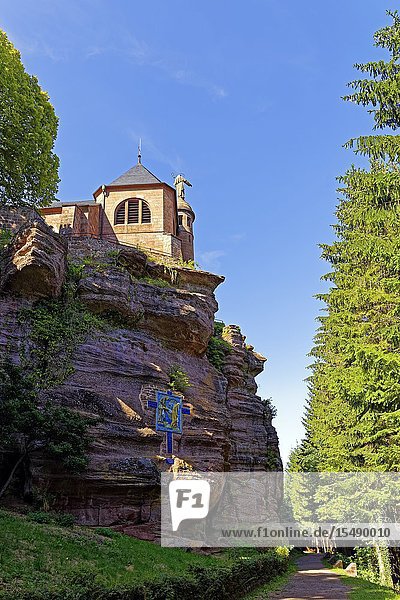 Kloster Hohenburg  Elsass  Frankreich  Europa