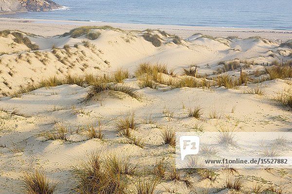 Sand dunes at Cala Mesquida Capdepera Majorca Spain.